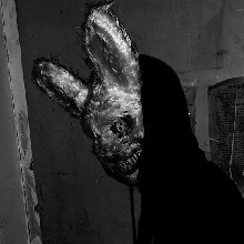 Guest_Cxldblxxd