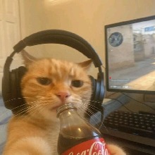 Guest_ItzDuck