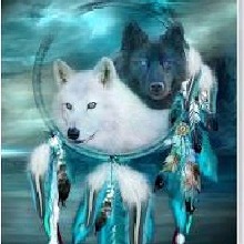 Guest_Kingphoenixbloodrose