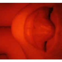 Guest_KaylaBerlutti