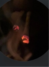 Guest_Slims3xe