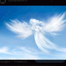 Guest_Fernando41381