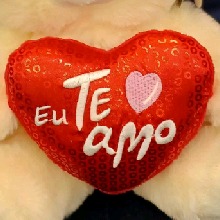 Guest_Fernando41381