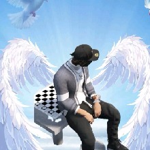 Guest_TrellNewAcc