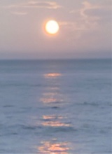 Guest_sarahjane4