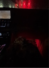 Guest_itsyogirlanna