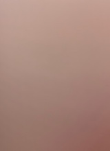 Guest_rose310834