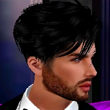 Guest_Steffler