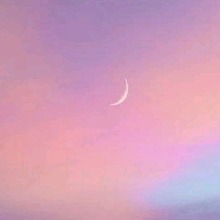 Guest_Zoe360571