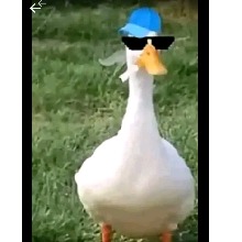Guest_AnthonyLeon1