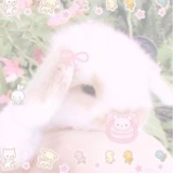 Guest_tallira2
