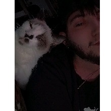 DallasRay2