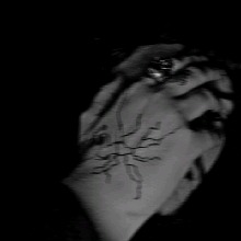 Guest_DallasRay2