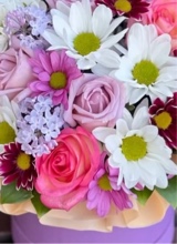 Guest_Amelia379386