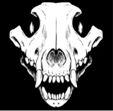 Foto de Avatar
