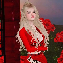 Guest_shntiaa1