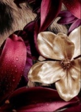 Guest_Lexi970276