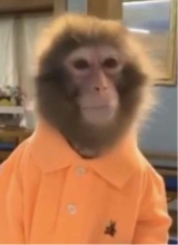 Guest_finestedger