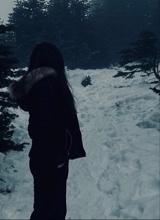 Guest_Ilinca3