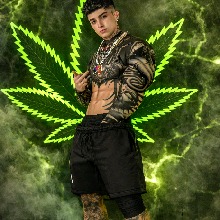 WillianAlves1