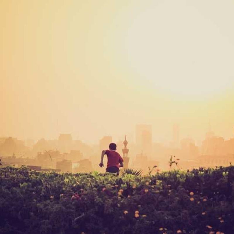 Guest_lidianeb579