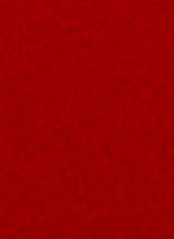 Guest_lbsavva12