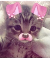 Guest_sevval6