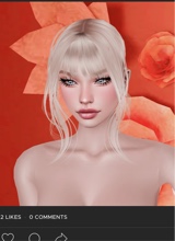 Guest_Willow2026