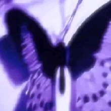Guest_luna478