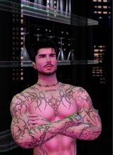 Guest_Zack766432
