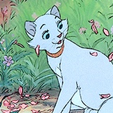 Guest_Bunni788538