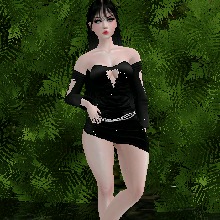 Guest_Tata504562