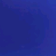 Guest_Kamy651571