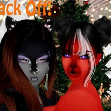 Guest_Hailey451593