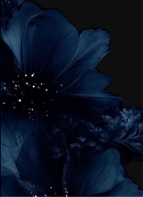 Guest_babyKK28