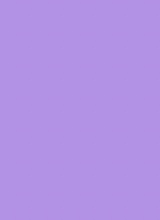 Guest_Mirella041