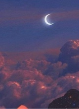 avatarbild