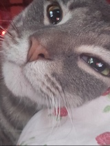 Guest_pinkony