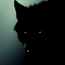 Guest_Damon423194