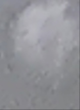 Guest_amyaaaa1