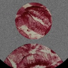 Guest_Suelee