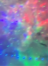 Guest_Damion173