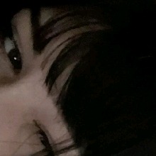 Guest_rosevalegoldenyea1d5