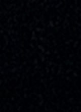 Guest_lacayo3