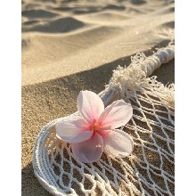 Guest_Fabi07