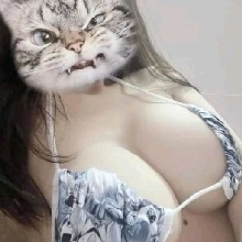 Guest_Emily12341