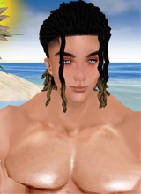 Guest_david861527