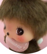 Guest_ava397835