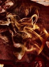 Guest_altruvara