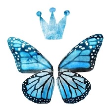 Guest_Starships2